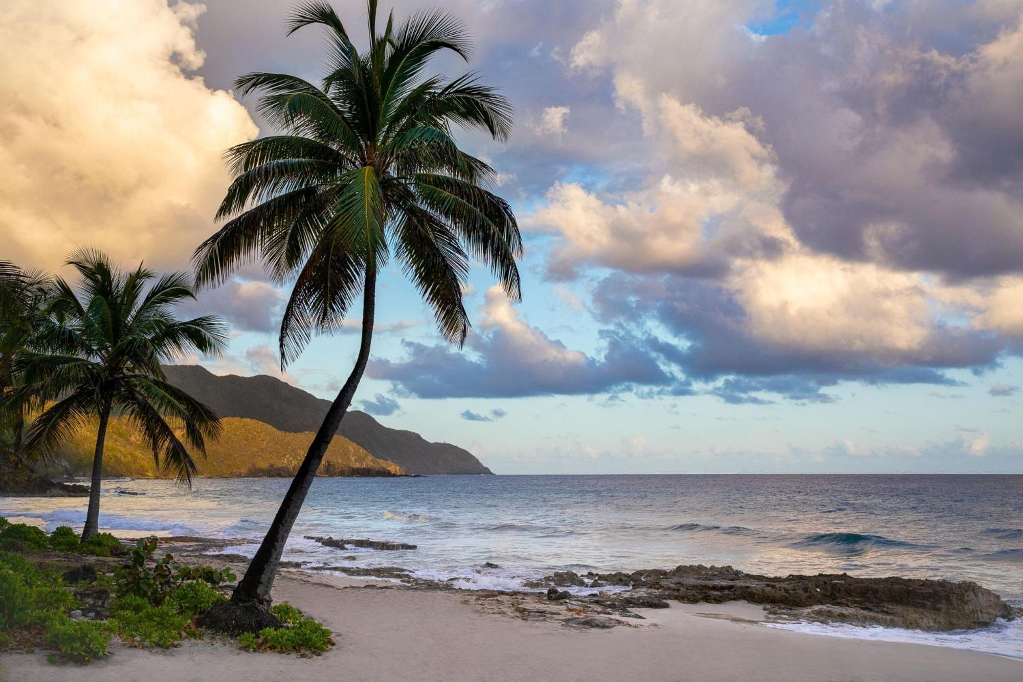 Carambola Beach Resort St. Croix, Us Virgin Islands Fountain Exterior foto